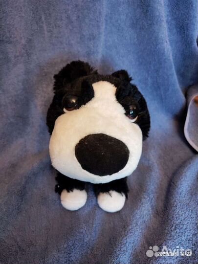 Плюшевый щенок из магазина Дикси