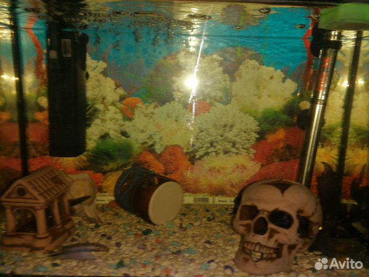 Аквариум с рыбками