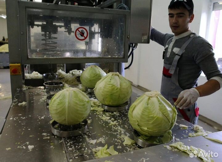 Фасовщик\укладчик овощей (цех засолки)