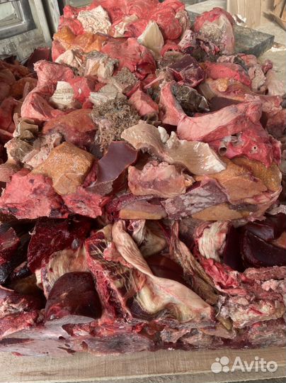 Мясо микс субпродуктов