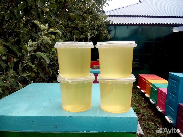 Мёд акациевый, с семейной пасеки