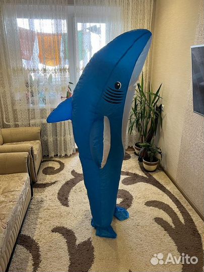 Аренда костюма акулы/ акула надувная на прокат