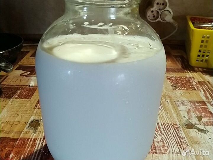 Молоко коровье домашнее, творог, сметана