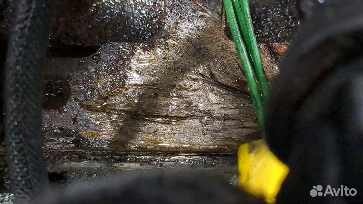 Двигатель Peugeot 806, 2000