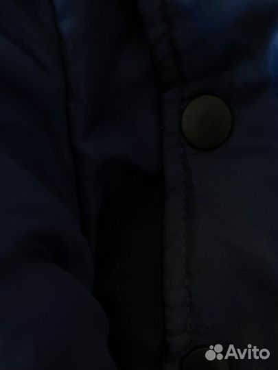 Костюм для собаки