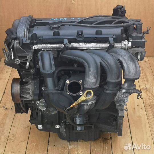 Двигатель asda Focus 2 1.4 инд.№3950