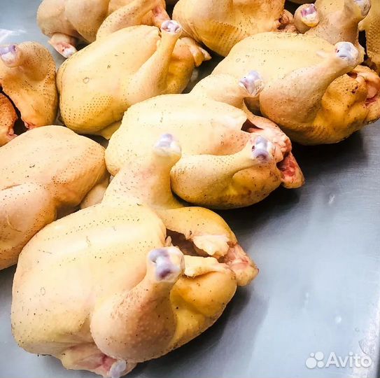 Мясо домашней курицы