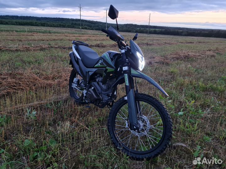 Regulmoto TE 300 2023