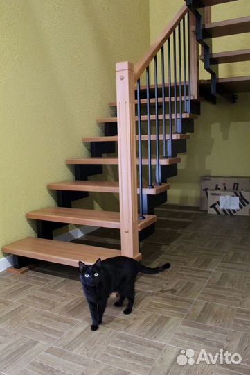 Лестницы на металлокаркасе