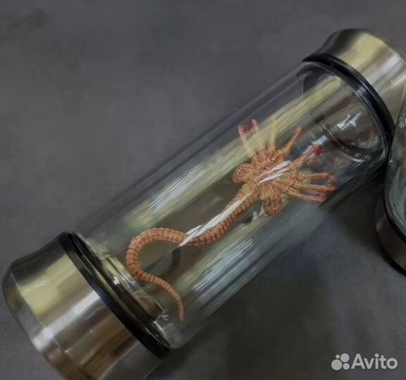 Светильник Лицехват чужой