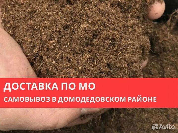 Грунт для голубики и хвойных растений