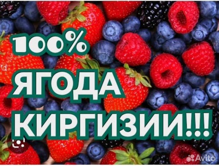 Большой выбор ягоды