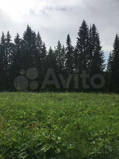 Участок 15,5 сот. (СНТ, ДНП)