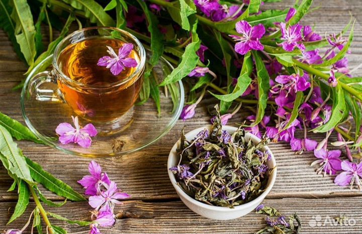 Мята Иван-чай