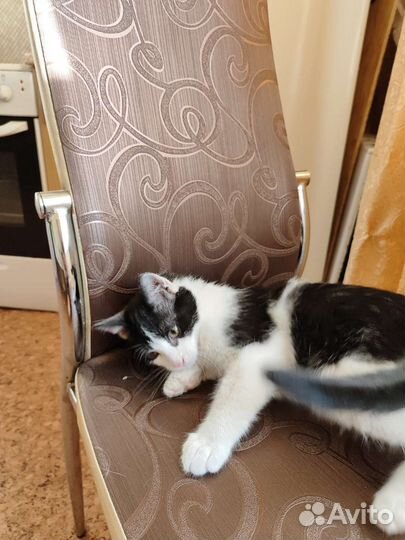 Малыш с приданым в добрые руки