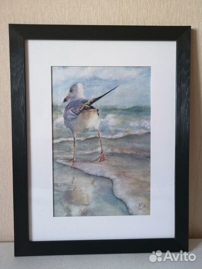 Водоплавающая