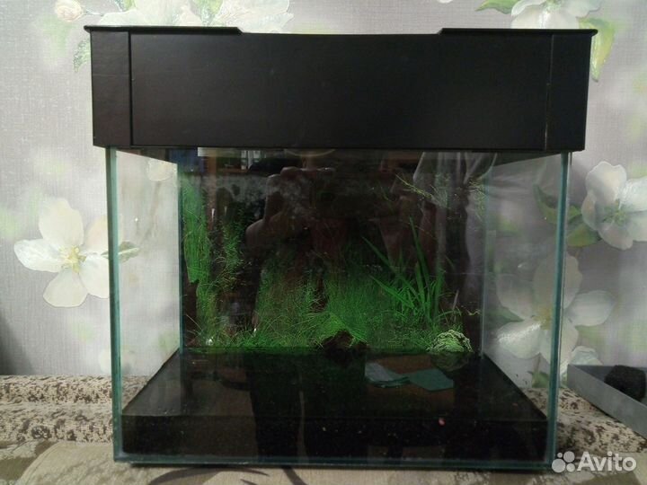 Аквариум