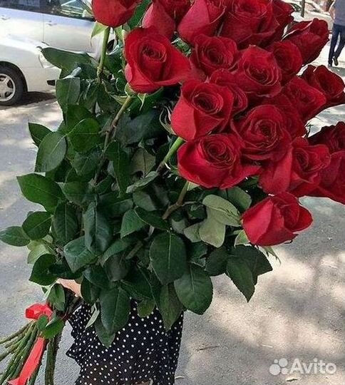 Высокие розы Доставка цветов