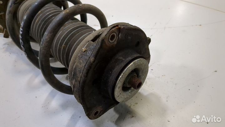 Амортизатор подвески Seat Leon 2, 2009