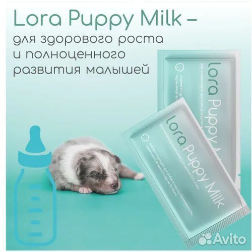 Lora Kitten Milk Молочная сместь для котят и щенят