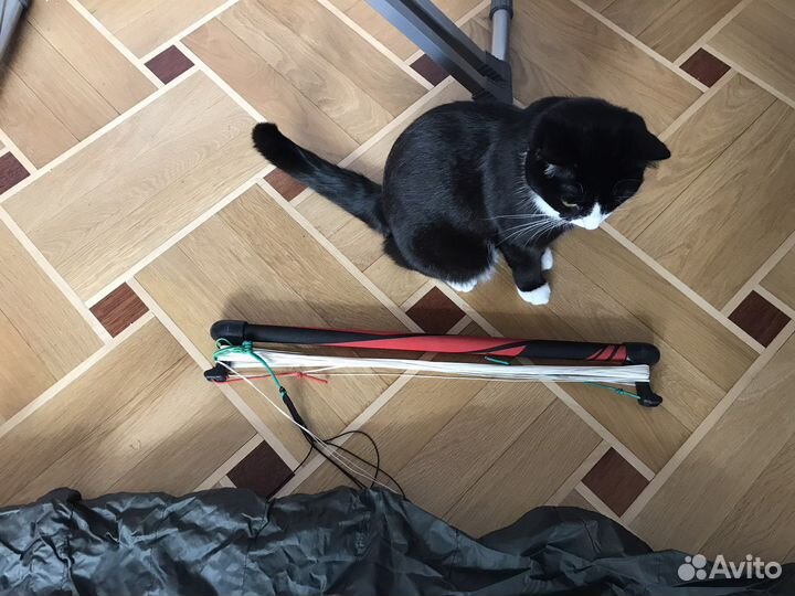 Кайт учебный slingshot b-two