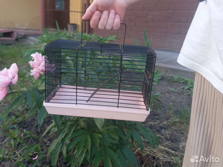 Клетка для животных бу