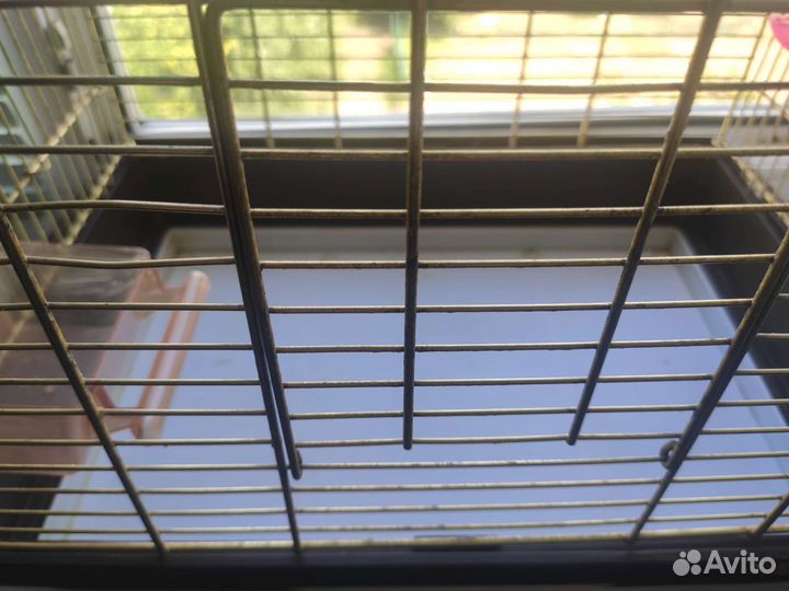Клетка для попугая корелла
