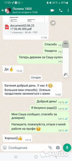 Репетитор по русскому языку и литературе