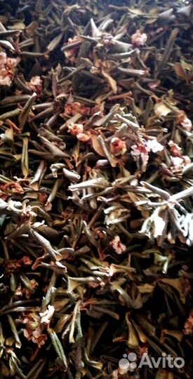 Чай Саган-Дайля