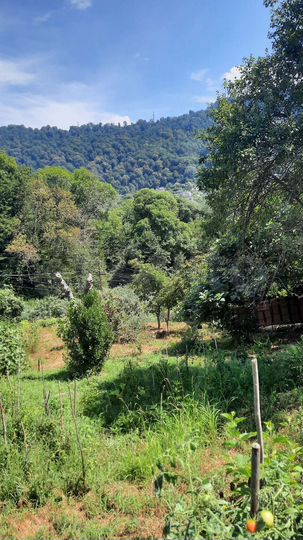 Участок 4,1 сот. (ИЖС)