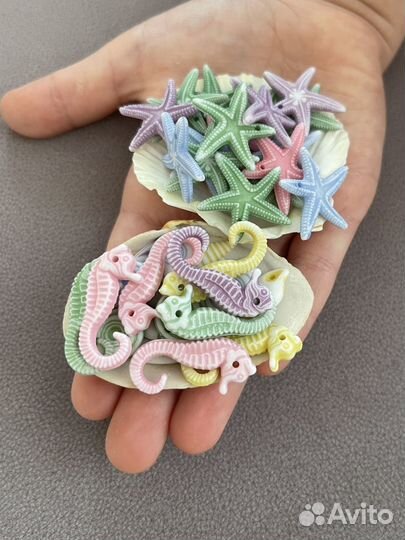 Сухоцветы для творчества