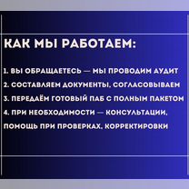 Паспорт безопасности: разработка и согласование, Слободзея
