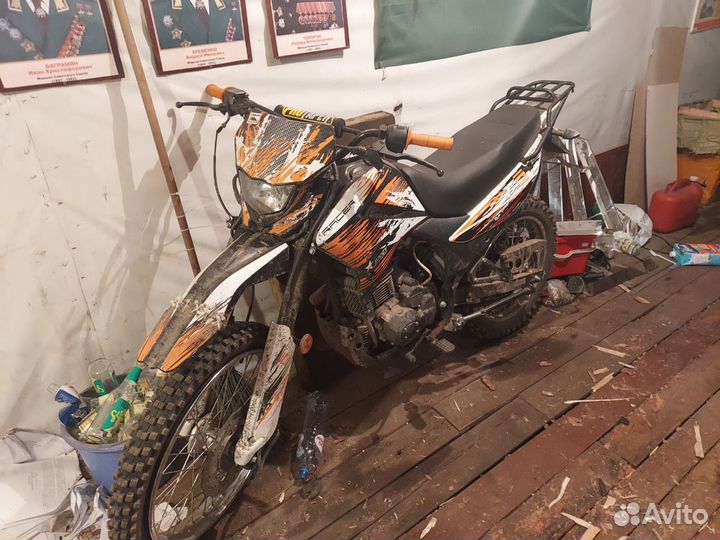 Racer panteta 300