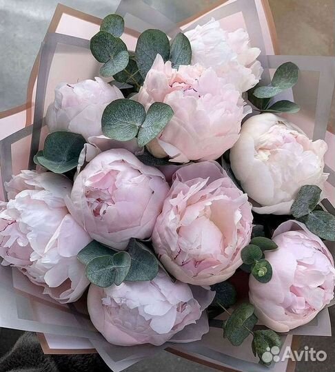 Пионы Букет