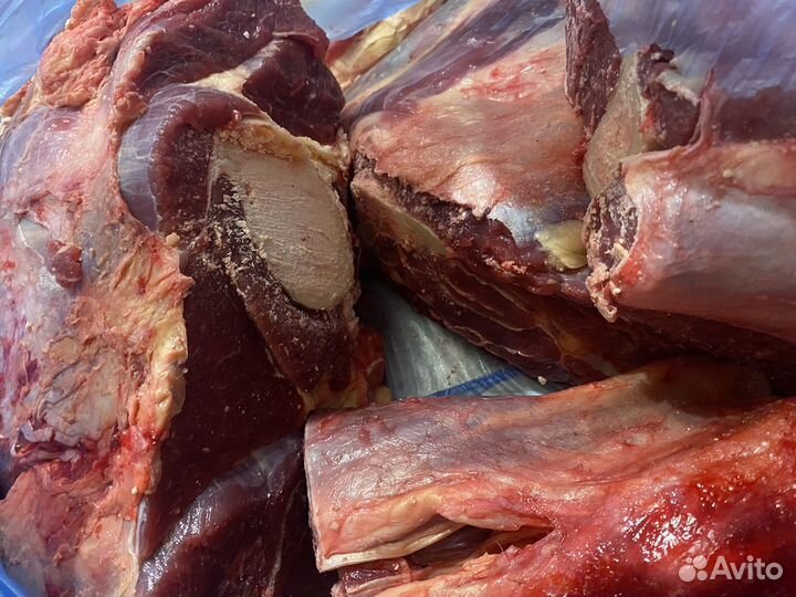 Мясо свинины, голова свиная