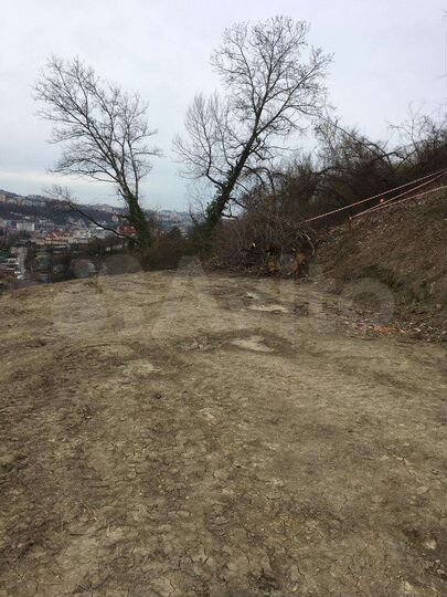 Участок 6 сот. (СНТ, ДНП)