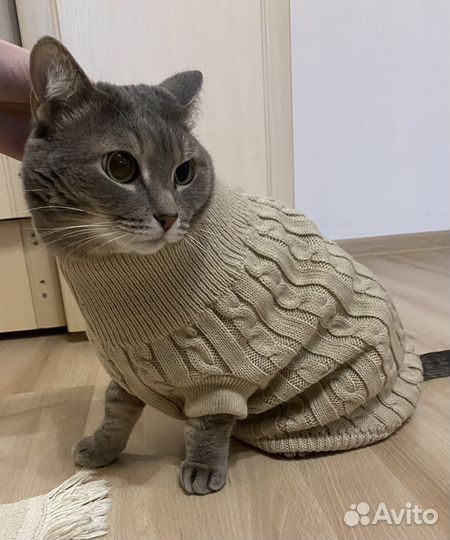 Свитер для кошек собак размер XL