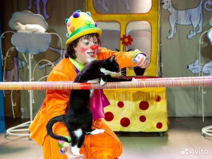 Театр кошек Куклачёва