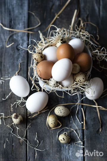 Яйцо и Мясо Домашнее