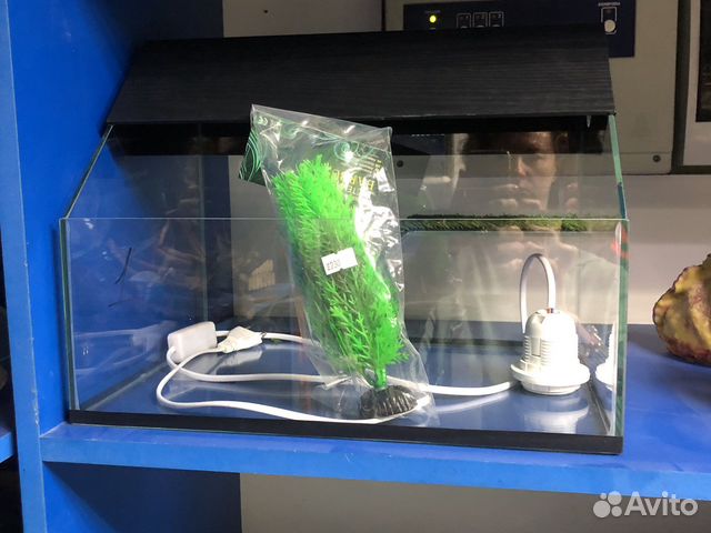 Террариум для черепахи