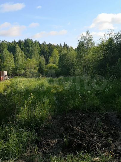 Участок 10 сот. (СНТ, ДНП)