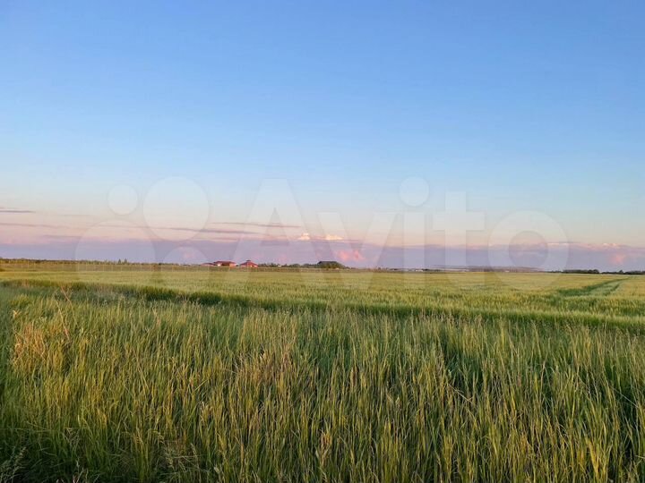 Участок 5 сот. (ИЖС)