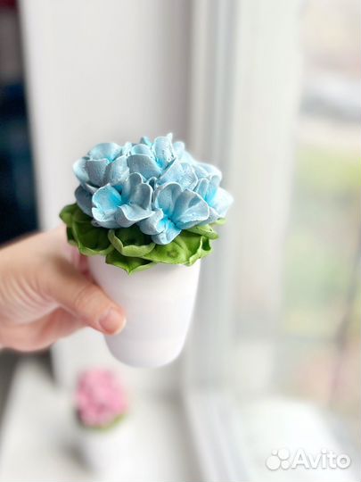 Фиалка из зефира