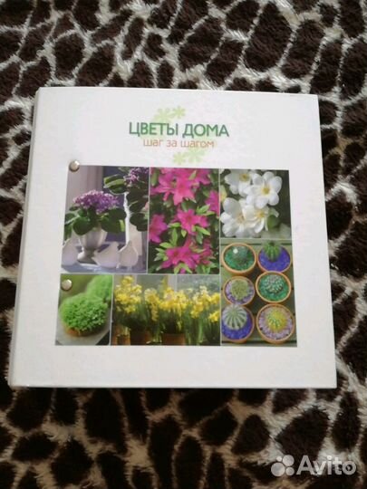 Цветы дома. Шаг за шагом