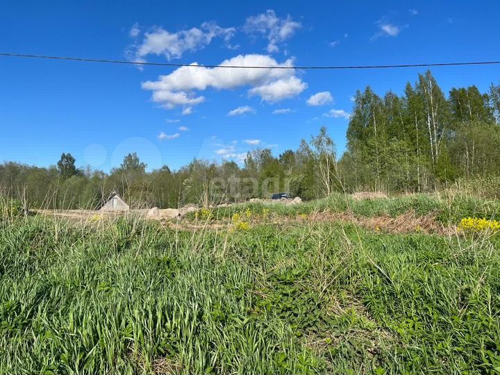 Участок 12,4 сот. (СНТ, ДНП)