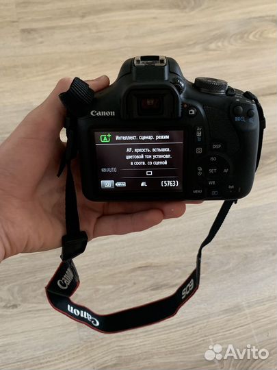 Зеркальный фотоаппарат canon eos 2000d