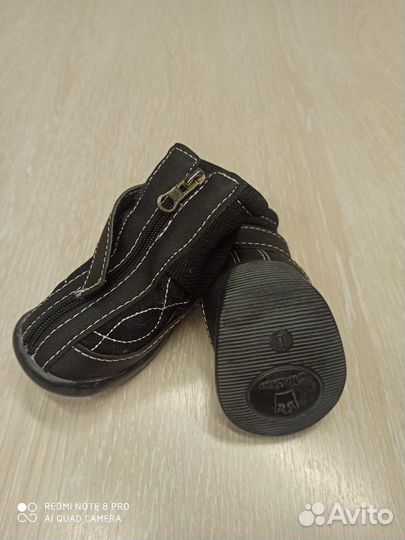 Одежда для средних собак