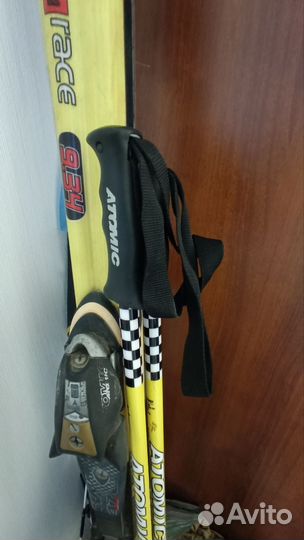 Горные лыжи