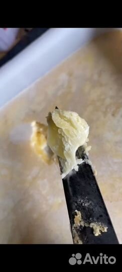 Мёд разнотравье 2023 г