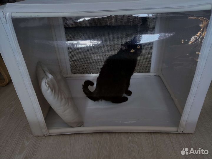 Выставочный манеж для животных